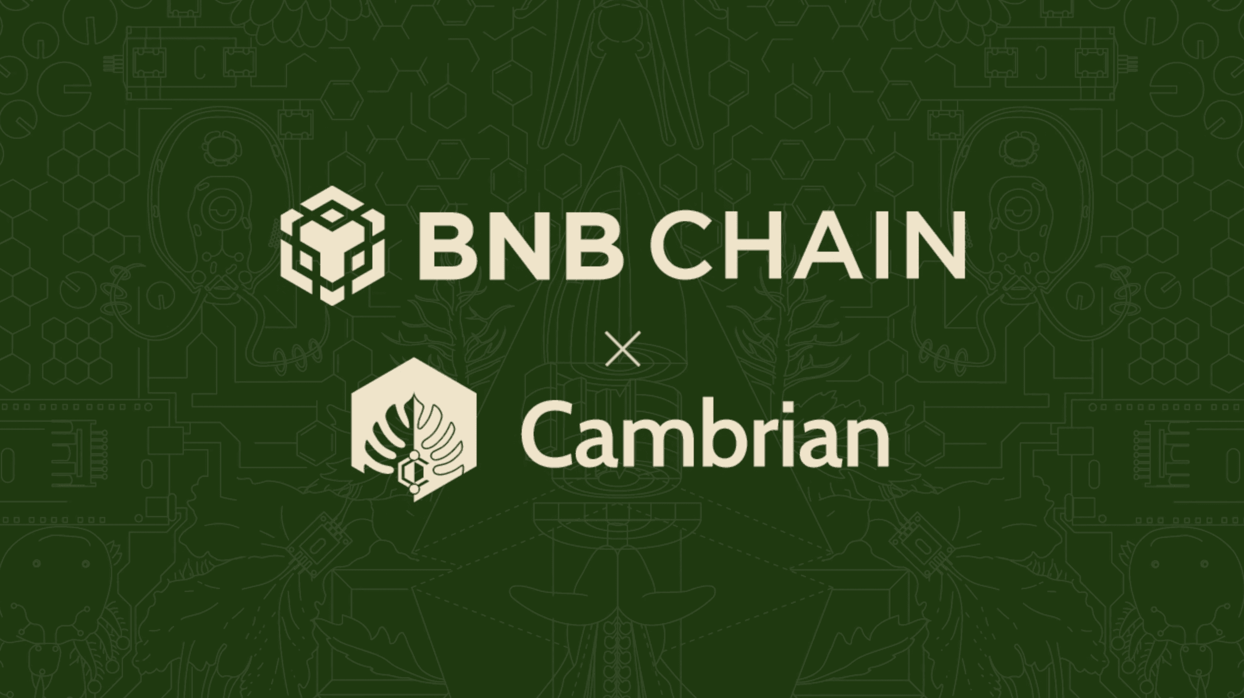 Featured image for Cambrian Now Supports BNB Chain